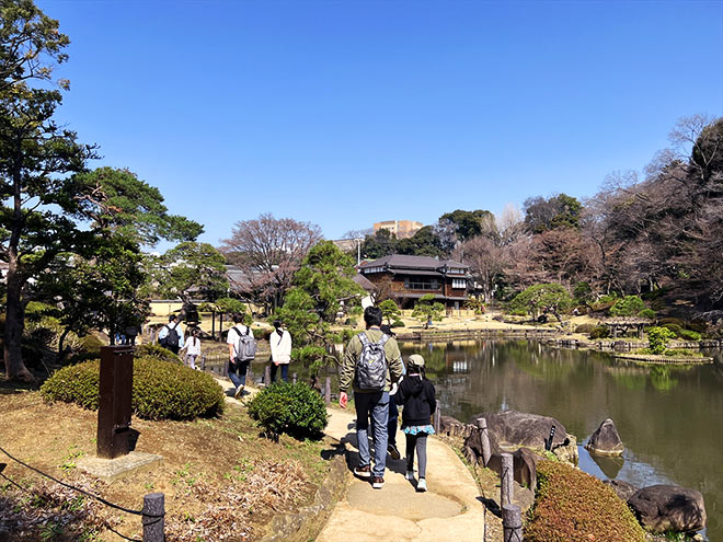 「池袋・神田川桜並木散策」コース