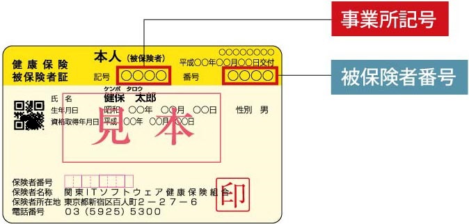 保険証