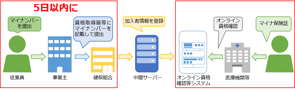 オンライン資格確認