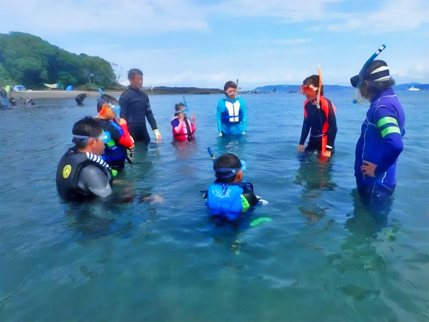 海辺の鑑定団
