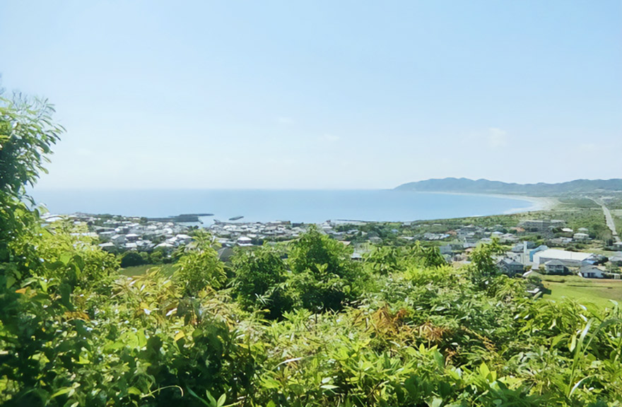 千葉県立館山野鳥の森
