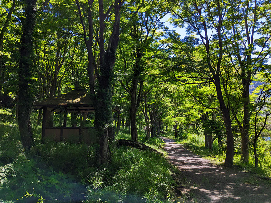 湖畔ふれあい園地
