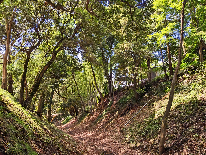 小峯御鐘ノ台大堀切東堀