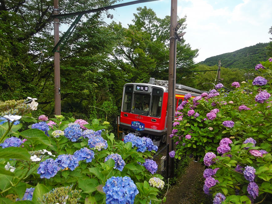 トスラブ箱根のいま