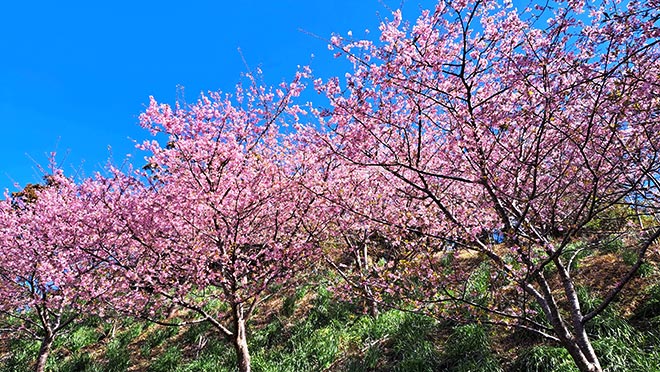 佐久間ダム親水公園