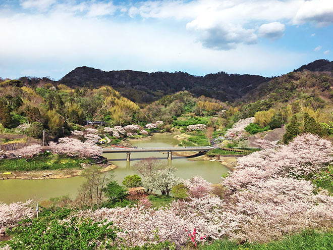 トスラブ館山ルアーナのいま