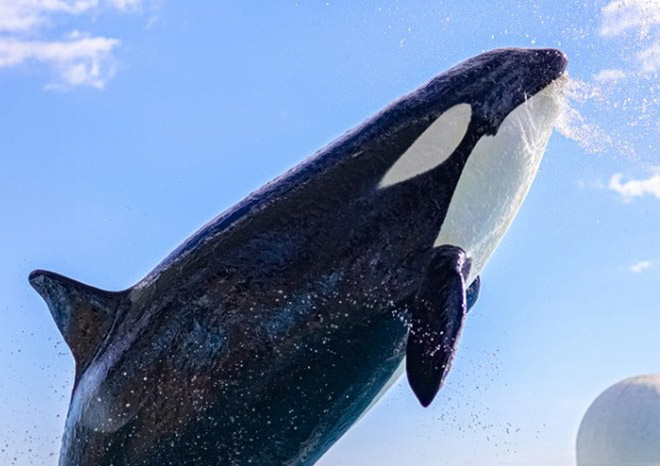 鴨川シーワールド