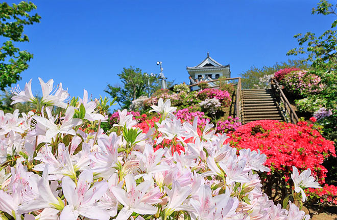 館山城と城山公園