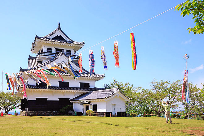 館山城とこいのぼり
