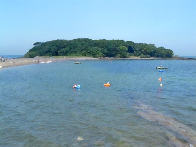 海辺の鑑定団