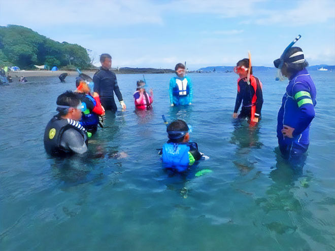海辺の鑑定団