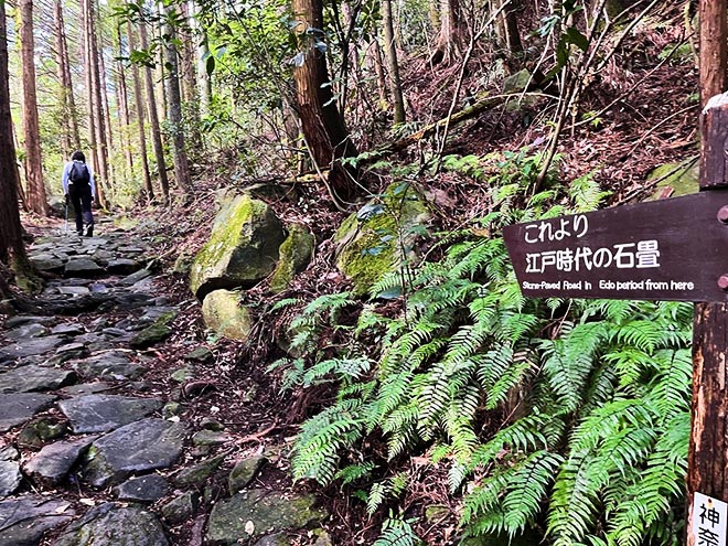 箱根旧街道