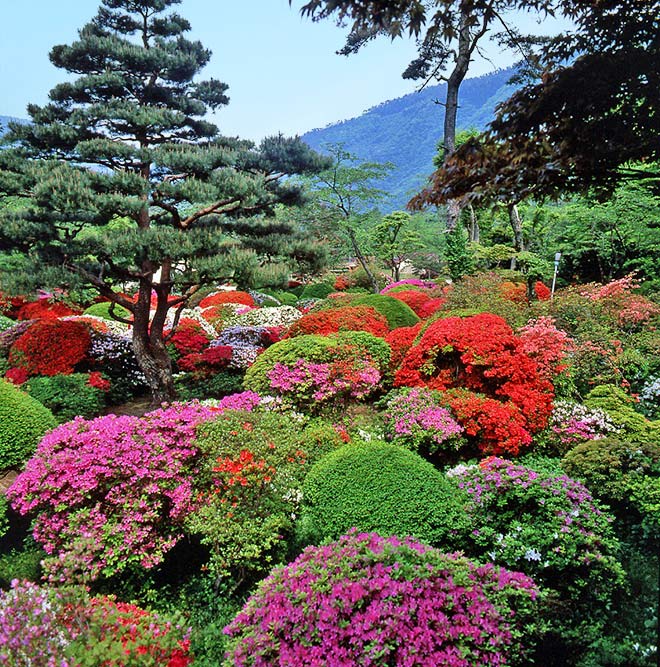 蓬莱園
