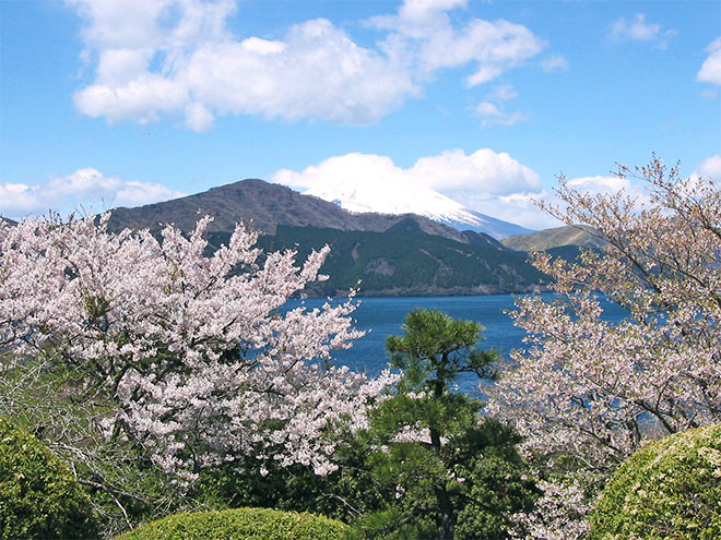 新春の冬景色