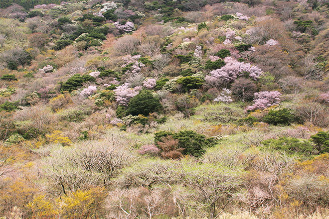 箱根ビジターセンター