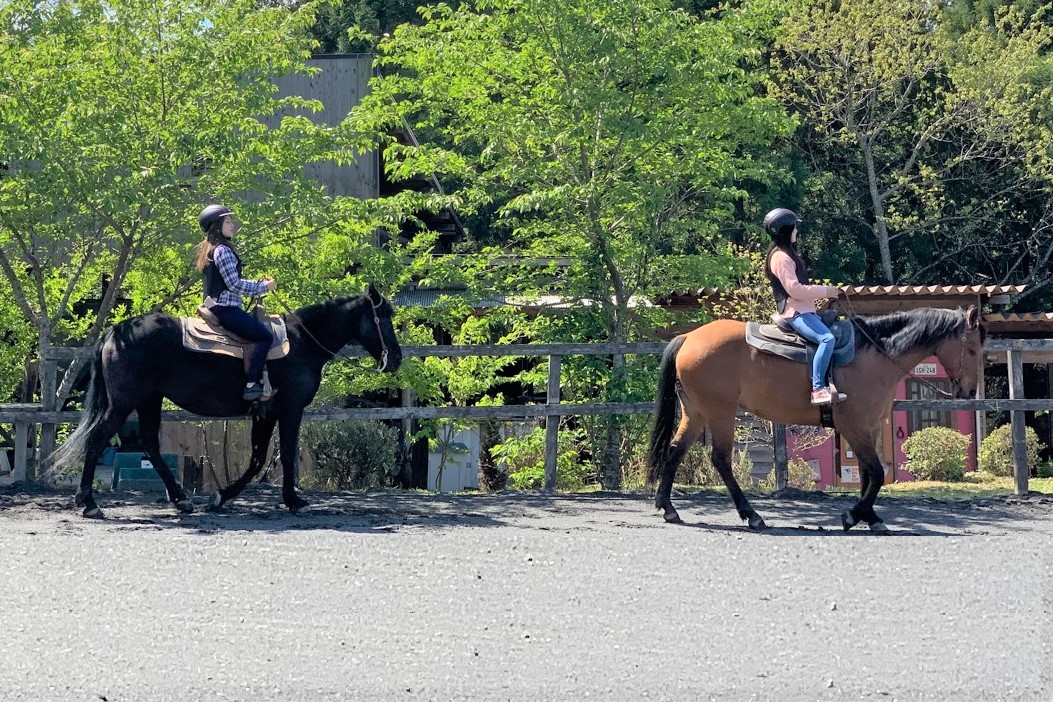 体験乗馬付宿泊プラン（リソルの森）