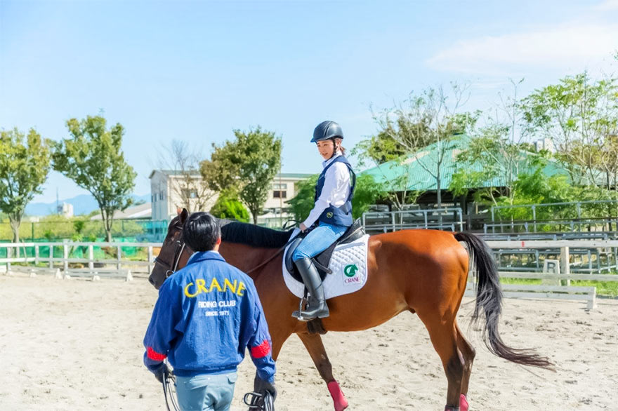 乗馬クラブ クレイン