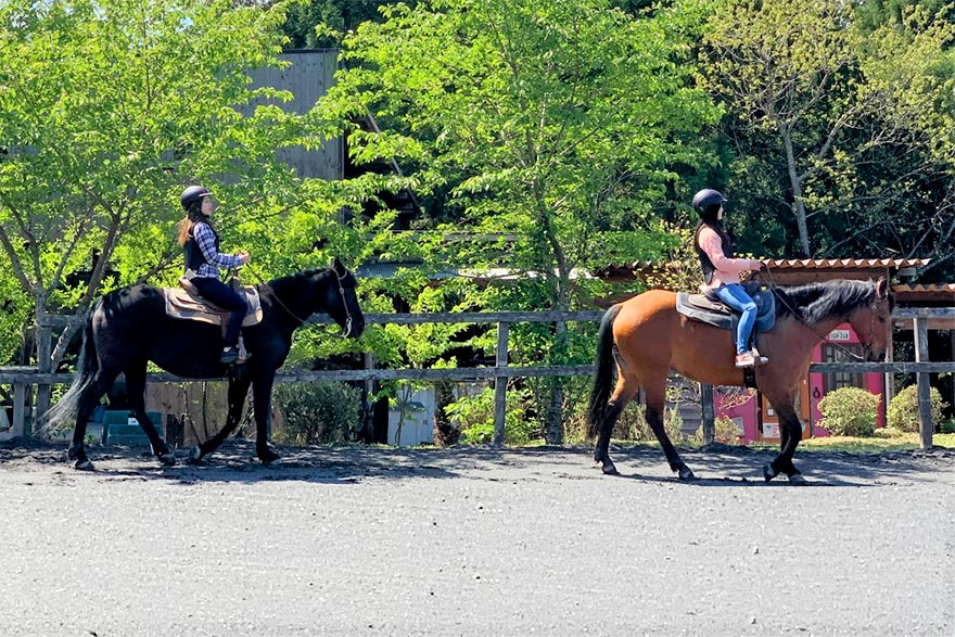 体験乗馬付宿泊プラン(リソルの森)
